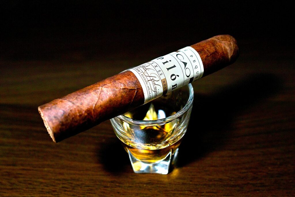 シーエーオー ピロン ロブスト/CAO Pilon Robusto｜葉巻/シガー初心者の喫煙レビューブログ｜ギャラリー3