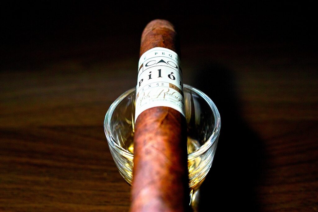 シーエーオー ピロン ロブスト/CAO Pilon Robusto｜葉巻/シガー初心者の喫煙レビューブログ｜ギャラリー6