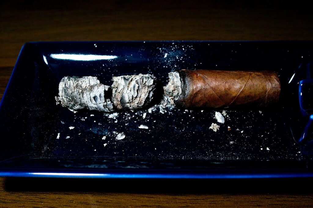 シーエーオー ピロン ロブスト/CAO Pilon Robusto｜葉巻/シガー初心者の喫煙レビューブログ｜ファイナルアッシュ