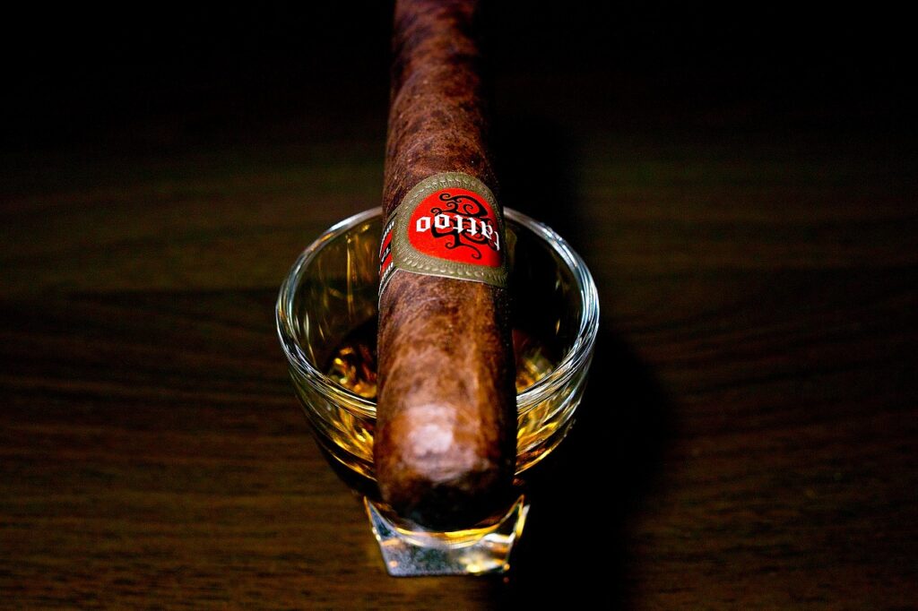 タトゥアヘ タトゥー カバレロ ロブスト/Tatuaje Tattoo Caballero Robusto Cigar Review｜葉巻/シガー初心者の喫煙レビューブログ｜ギャラリー4