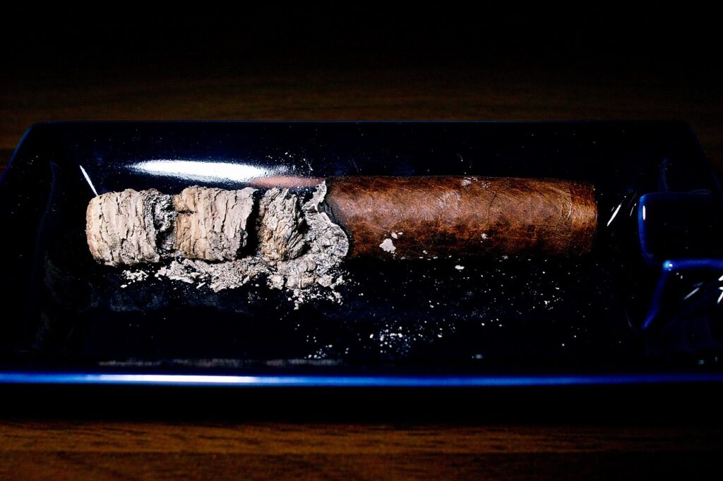 タトゥアヘ タトゥー カバレロ ロブスト/Tatuaje Tattoo Caballero Robusto｜葉巻/シガー初心者の喫煙レビューブログ｜喫煙終了ファイナルアッシュ