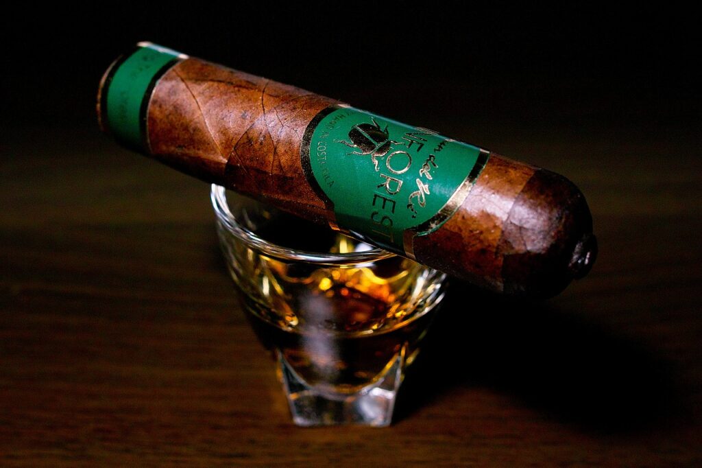 ブルン・デル・レ 1787 レインフォレスト ロブストイメンソ/Brun del Re 1787 Rain Forest Robusto Immenso Cigar Review｜葉巻/シガー初心者の喫煙レビューブログ｜ギャラリー2