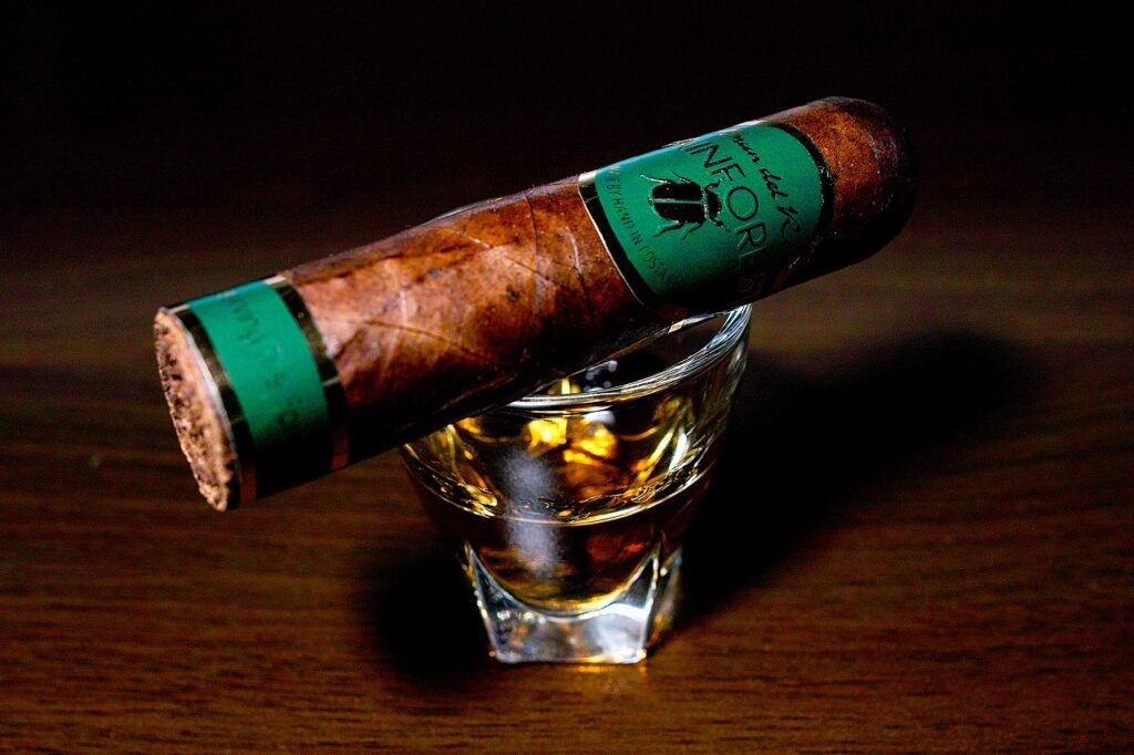 ブルン・デル・レ 1787 レインフォレスト ロブストイメンソ/Brun del Re 1787 Rain Forest Robusto Immenso Cigar Review｜葉巻/シガー初心者の喫煙レビューブログ｜ギャラリー3