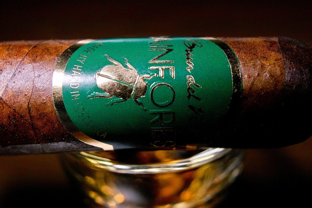 ブルン・デル・レ 1787 レインフォレスト ロブストイメンソ/Brun del Re 1787 Rain Forest Robusto Immenso Cigar Review｜葉巻/シガー初心者の喫煙レビューブログ｜ギャラリー5