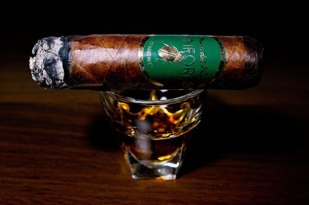 ブルン・デル・レ 1787 レインフォレスト ロブストイメンソ/Brun del Re 1787 Rain Forest Robusto Immenso Cigar Review｜葉巻/シガー初心者の喫煙レビューブログ｜喫煙序盤ファーストサード