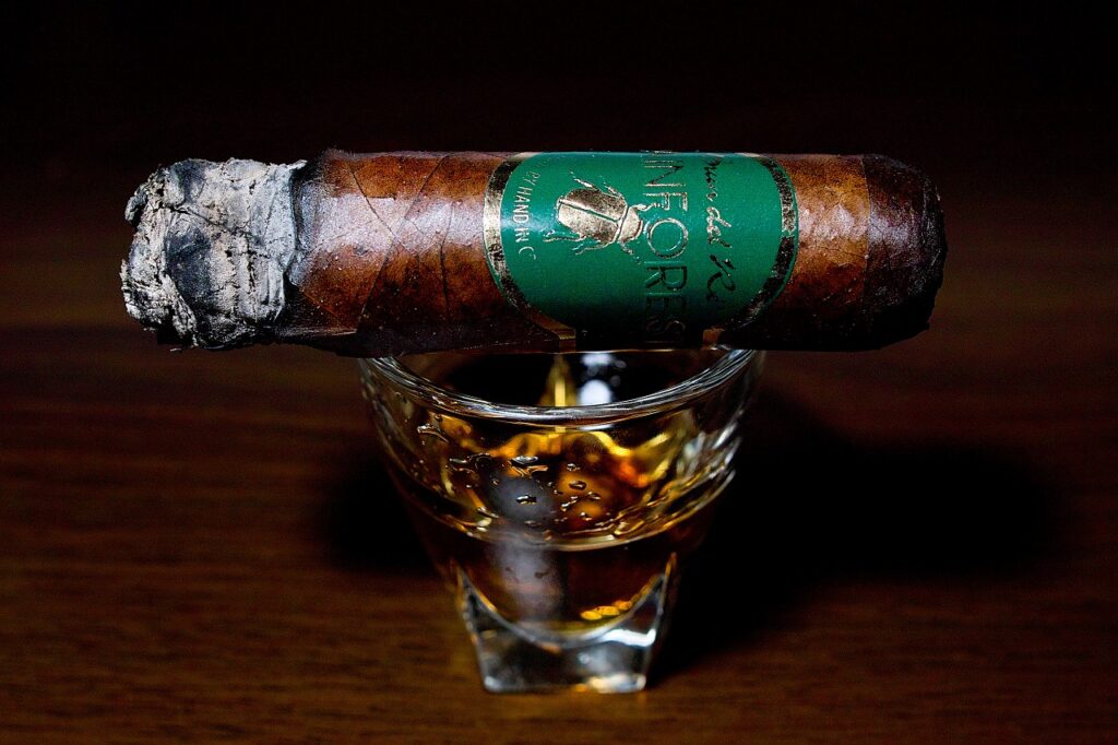 ブルン・デル・レ 1787 レインフォレスト ロブストイメンソ/Brun del Re 1787 Rain Forest Robusto Immenso Cigar Review｜葉巻/シガー初心者の喫煙レビューブログ｜喫煙中盤セカンドサード