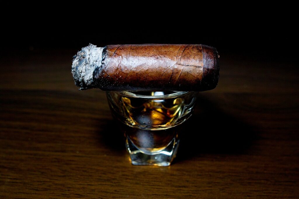 ブルン・デル・レ 1787 レインフォレスト ロブストイメンソ/Brun del Re 1787 Rain Forest Robusto Immenso Cigar Review｜葉巻/シガー初心者の喫煙レビューブログ｜喫煙終盤ファイナルサード