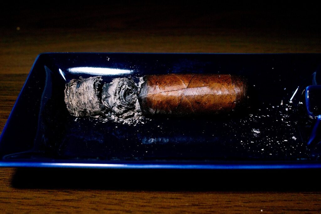 ブルン・デル・レ 1787 レインフォレスト ロブストイメンソ/Brun del Re 1787 Rain Forest Robusto Immenso Cigar Review｜葉巻/シガー初心者の喫煙レビューブログ｜喫煙終了ファイナルアッシュ