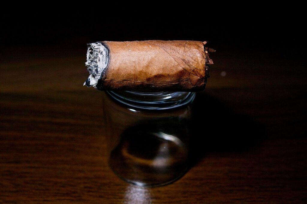 チンチャレロ ペティロブスト/Chinchlero Picadillos Cigar Review|葉巻/シガー初心者の喫煙レビューブログ|喫煙終盤ファイナルサード