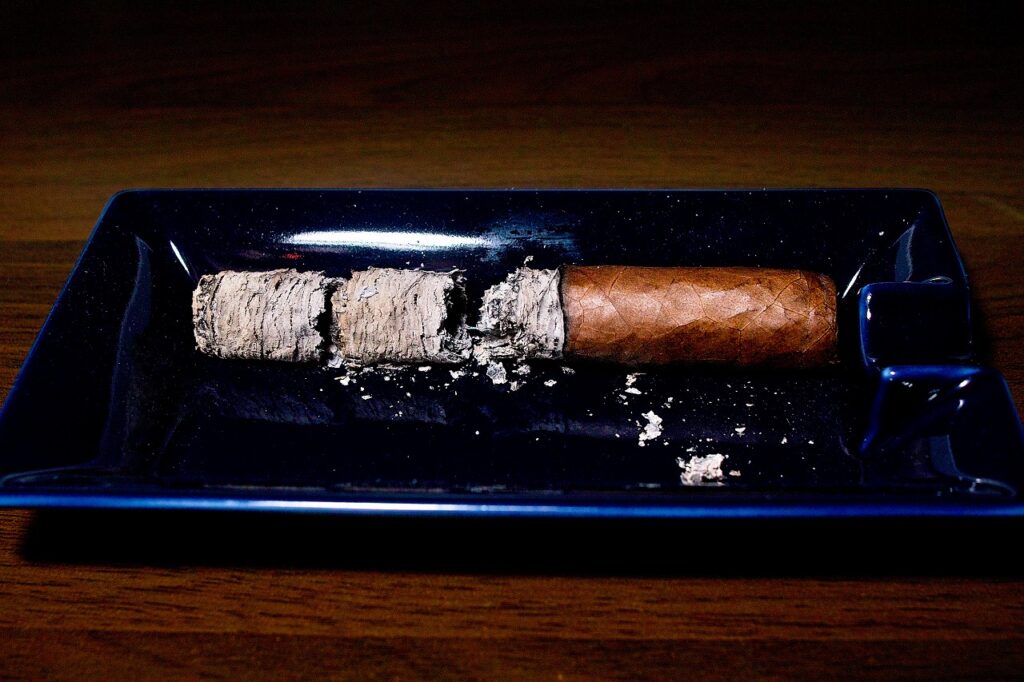 ドン・トーマス クラシコ ロブスト/Don Tomas Clasico Robusto cigar review|葉巻/シガー初心者の喫煙レビューブログ|喫煙終了後ファイナルアッシュ