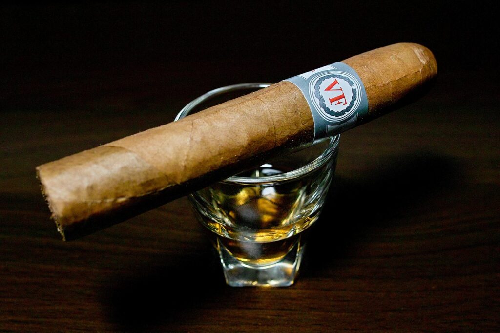 ベガフィナ オリジナル ロブスト/VegaFina Original Robusto Cigar Review｜葉巻/シガー初心者の喫煙レビューブログ｜ギャラリー2