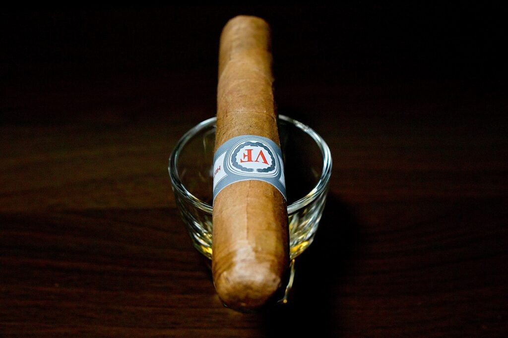 ベガフィナ オリジナル ロブスト/VegaFina Original Robusto Cigar Review｜葉巻/シガー初心者の喫煙レビューブログ｜ギャラリー4
