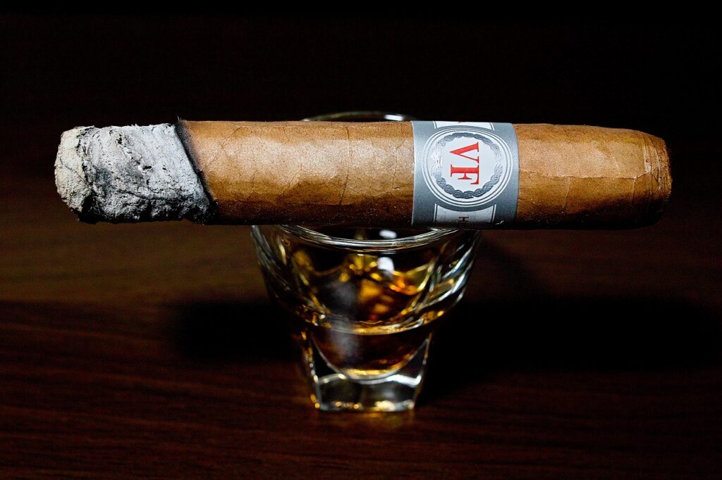 ベガフィナ オリジナル ロブスト/VegaFina Original Robusto Cigar Review｜葉巻/シガー初心者の喫煙レビューブログ｜喫煙序盤の終わり頃ファーストサード