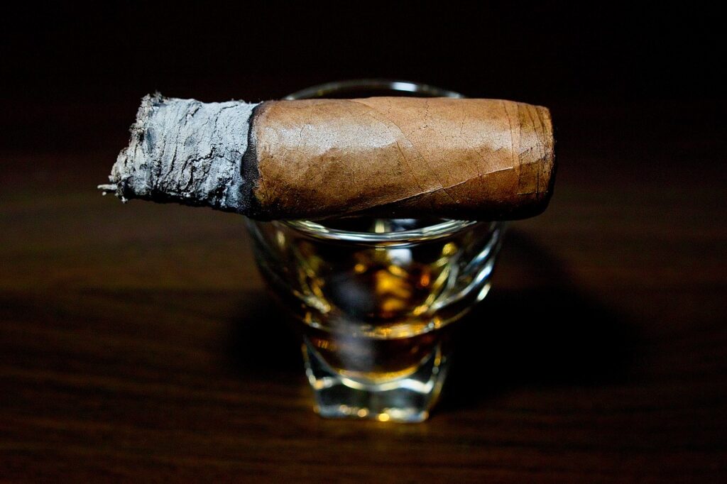 ベガフィナ オリジナル ロブスト/VegaFina Original Robusto Cigar Review｜葉巻/シガー初心者の喫煙レビューブログ｜喫煙終盤ファイナルサード