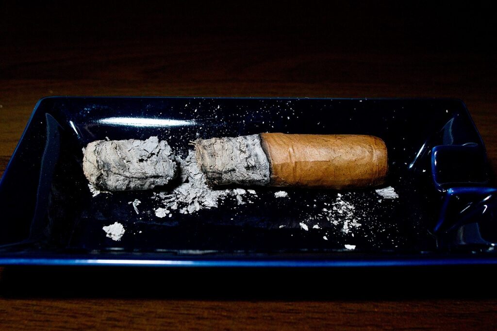 ベガフィナ オリジナル ロブスト/VegaFina Original Robusto Cigar Review｜葉巻/シガー初心者の喫煙レビューブログ｜喫煙終了後ファイナルアッシュ