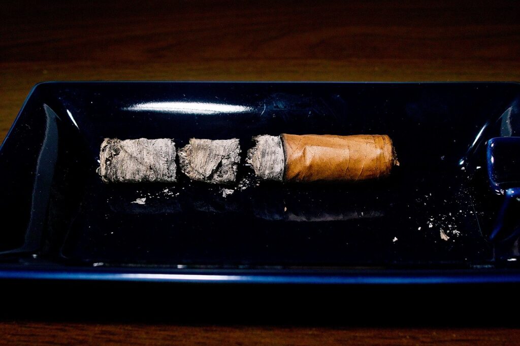 ベガフィナ オリジナル ペルラ/VegaFina Original No.5 Perlas Cigar Review｜葉巻/シガー初心者の喫煙レビューブログ｜喫煙終了後ファイナルアッシュ