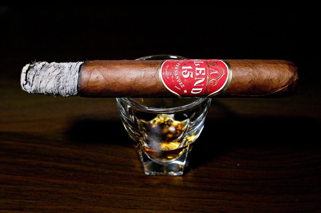 A.J. フェルナンデス ブレンド 15 トロ/A.J. Fernandez Blend 15 Toro Cigar Review|葉巻/シガー初心者の喫煙レビューブログ|喫煙序盤の終わり頃ファーストサード
