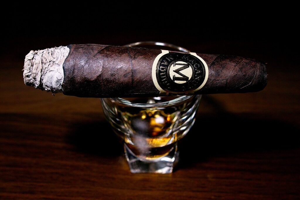 マカヌード マデューロ ディプロマット/Macanudo Maduro Diplomat Cigar Review|葉巻/シガー初心者の喫煙レビューブログ|喫煙序盤の終わり頃ファーストサード