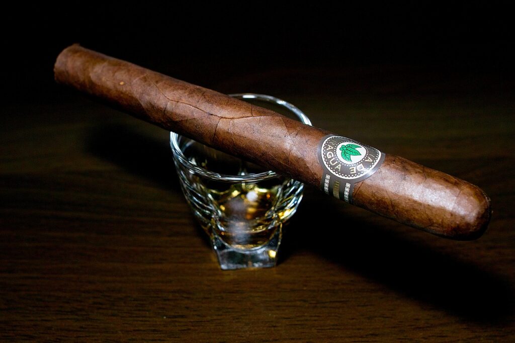 ホヤ・デ・ニカラグア クラシコ チャーチル マデューロ/Joya de Nicaragua Clasico Churchill Criollo Cigar Review｜葉巻/シガー初心者の喫煙レビューブログ｜ギャラリー2