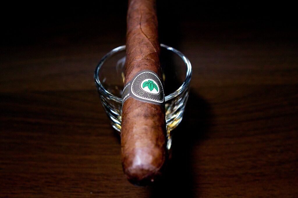 ホヤ・デ・ニカラグア クラシコ チャーチル マデューロ/Joya de Nicaragua Clasico Churchill Criollo Cigar Review｜葉巻/シガー初心者の喫煙レビューブログ｜ギャラリー4