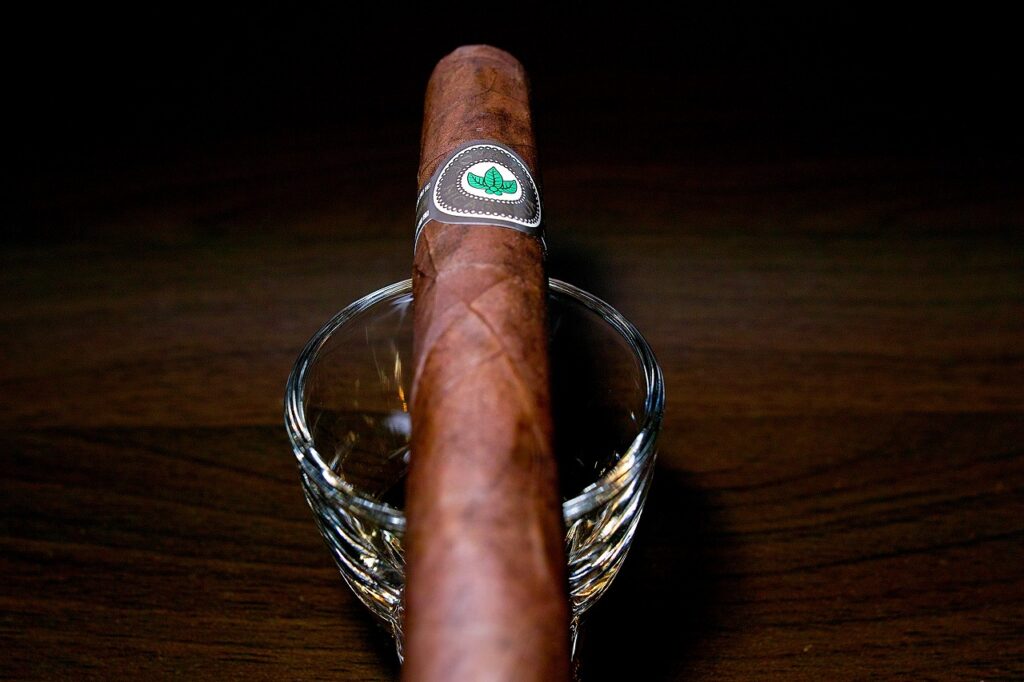 ホヤ・デ・ニカラグア クラシコ チャーチル マデューロ/Joya de Nicaragua Clasico Churchill Criollo Cigar Review｜葉巻/シガー初心者の喫煙レビューブログ｜ギャラリー5