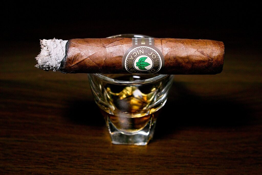 ホヤ・デ・ニカラグア クラシコ チャーチル マデューロ/Joya de Nicaragua Clasico Churchill Criollo Cigar Review｜葉巻/シガー初心者の喫煙レビューブログ｜喫煙中盤の終わり頃セカンドサード