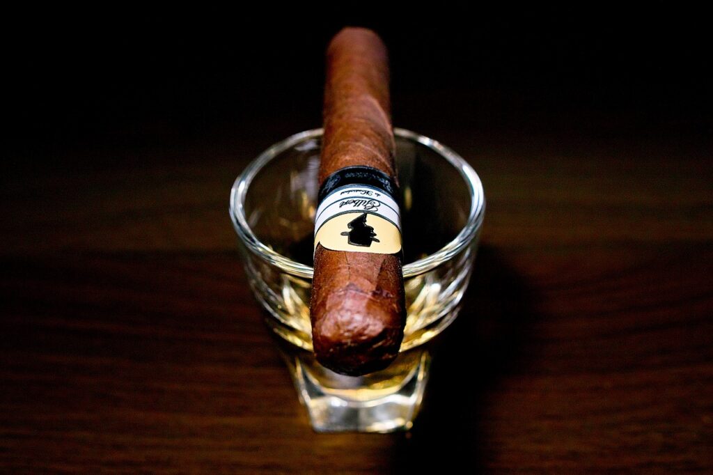 ギルバート・ド・モンサルバート レボリューション ペルラ/Gilbert de Montsalvat Revolution Style Perla Cigar Review｜葉巻/シガー初心者の喫煙レビューブログ｜ギャラリー4