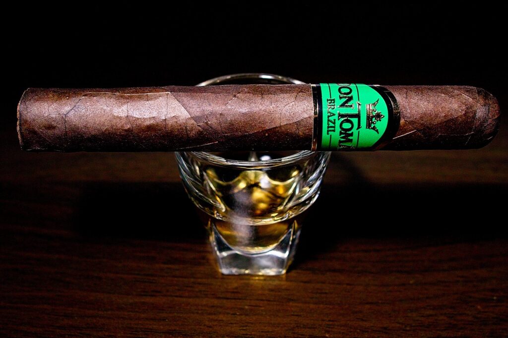 ドン・トーマス ブラジル ロブスト/Don Tomas Brazil Robusto Cigar Review|葉巻/シガー初心者の喫煙レビューブログ|ギャラリー1