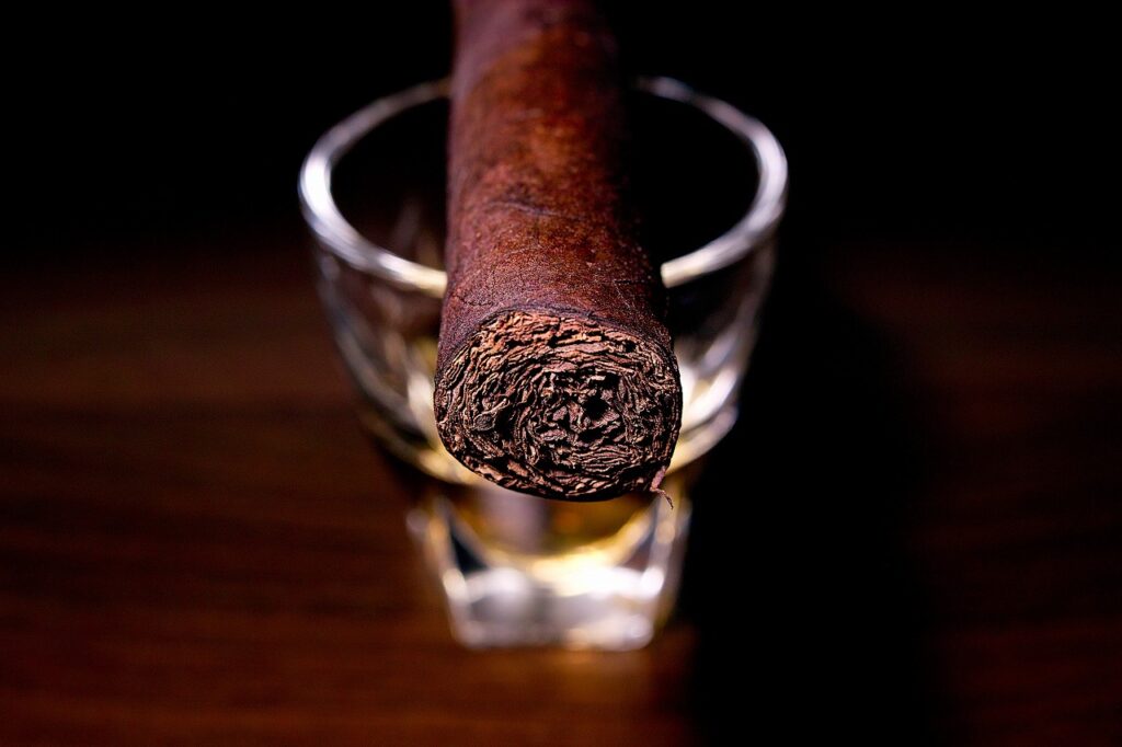 ドン・トーマス ブラジル ロブスト/Don Tomas Brazil Robusto Cigar Review｜葉巻/シガー初心者の喫煙レビューブログ｜ギャラリー6