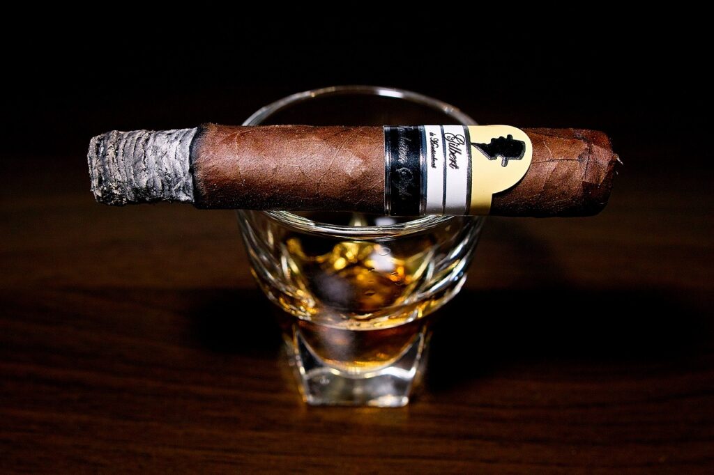 ギルバート・ド・モンサルバート レボリューション ペルラ/Gilbert de Montsalvat Revolution Style Perla Cigar Review｜葉巻/シガー初心者の喫煙レビューブログ｜喫煙序盤の終わり頃ファーストサード