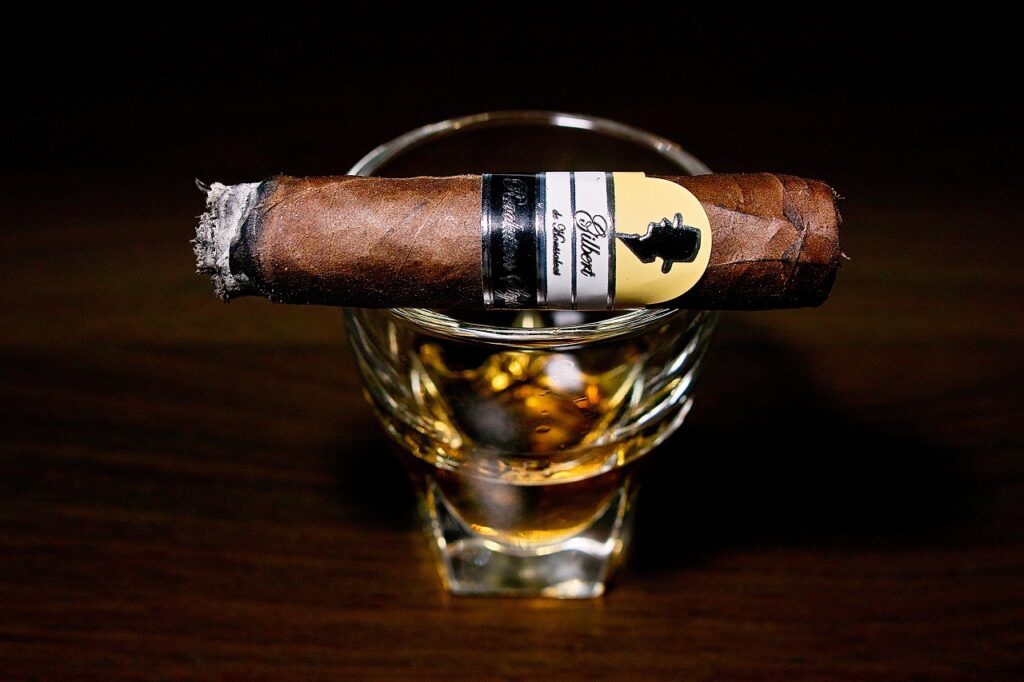 ギルバート・ド・モンサルバート レボリューション ペルラ/Gilbert de Montsalvat Revolution Style Perla Cigar Review｜葉巻/シガー初心者の喫煙レビューブログ｜喫煙中盤セカンドサード