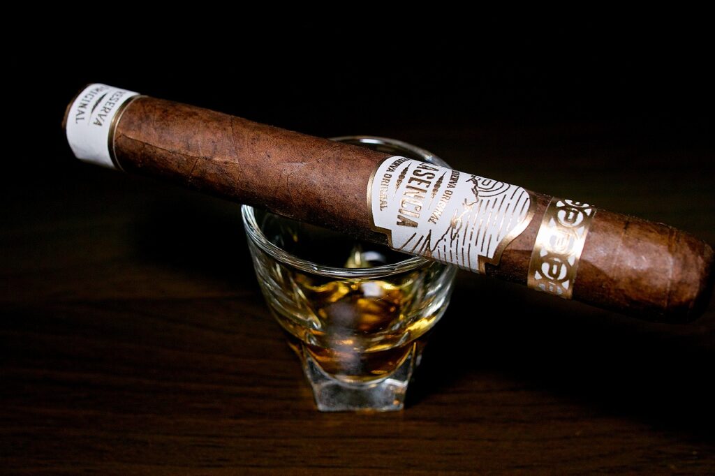 プラセンシア レゼルバ オリジナル トロ/Plasencia Reserva Original Toro Cigar Review｜葉巻/シガー初心者の喫煙レビューブログ｜ギャラリー3