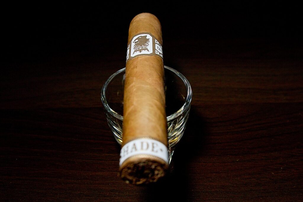 ドリュー・エステート アンダークラウン シェード ロブスト/Drew Estate Undercrown Shade Robusto Cigar Review｜葉巻/シガー初心者の喫煙レビューブログ｜ギャラリー5