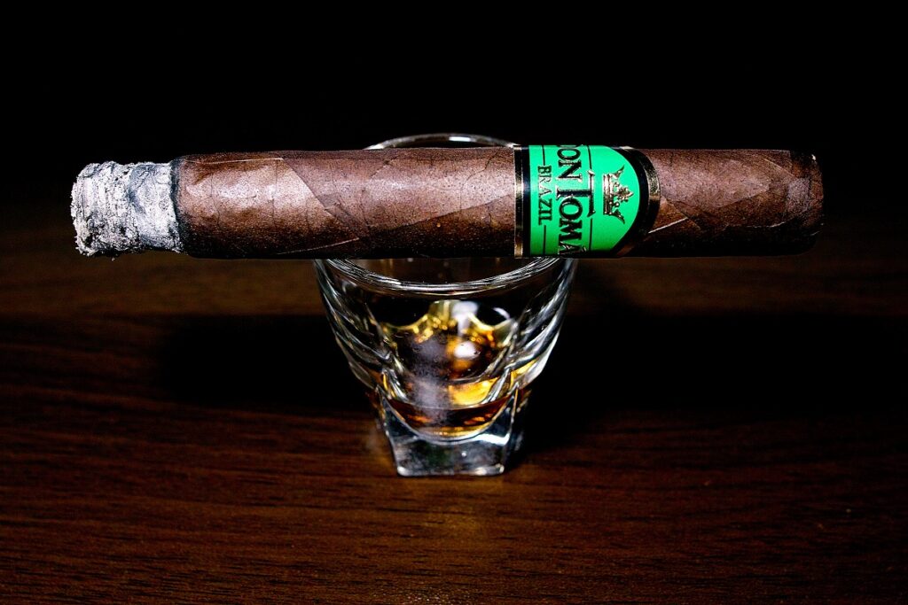 ドン・トーマス ブラジル ロブスト/Don Tomas Brazil Robusto Cigar Review|葉巻/シガー初心者の喫煙レビューブログ|喫煙序盤ファーストサード