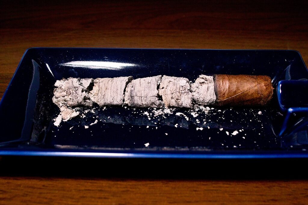 ドン・トーマス ブラジル ロブスト/Don Tomas Brazil Robusto Cigar Review|葉巻/シガー初心者の喫煙レビューブログ|喫煙終了後ファイナルアッシュ