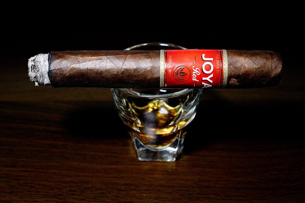 極美品！Joya ダイナモクラシック ダークレッド ジョヤ ジョーヤ 23.5 ホヤ・デ・ニカラグア レッド ロブスト 葉巻レビュー│葉巻