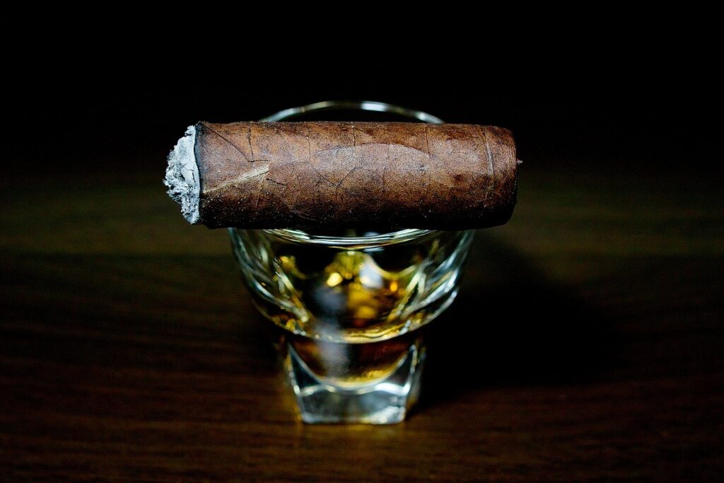 プラセンシア レゼルバ オリジナル トロ/Plasencia Reserva Original Toro Cigar Review｜葉巻/シガー初心者の喫煙レビューブログ｜喫煙終盤の終わり頃ファイナルサード
