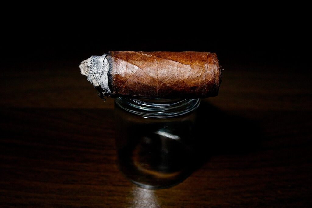 ベガフィナ 1998 52/VegaFina 1998 VF52 Cigar Review|葉巻/シガー初心者の喫煙レビューブログ|喫煙終盤ファイナルサード
