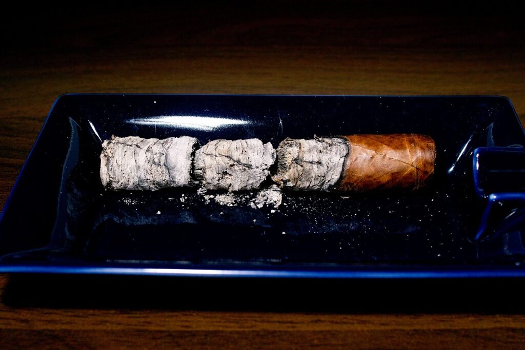 ベガフィナ 1998 52/VegaFina 1998 VF52 Cigar Review|葉巻/シガー初心者の喫煙レビューブログ|喫煙終了後ファイナルアッシュ