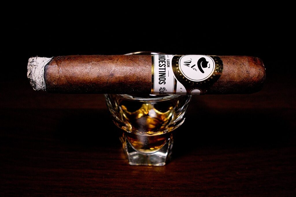 クランデスティノス ラッシュ ベグエロ/Clandestinos Lush Veguero Cigar Review｜葉巻/シガー初心者の喫煙レビューブログ｜喫煙序盤ファーストサード