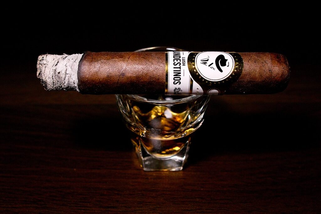 クランデスティノス ラッシュ ベグエロ/Clandestinos Lush Veguero Cigar Review｜葉巻/シガー初心者の喫煙レビューブログ｜喫煙序盤の中頃ファーストサード