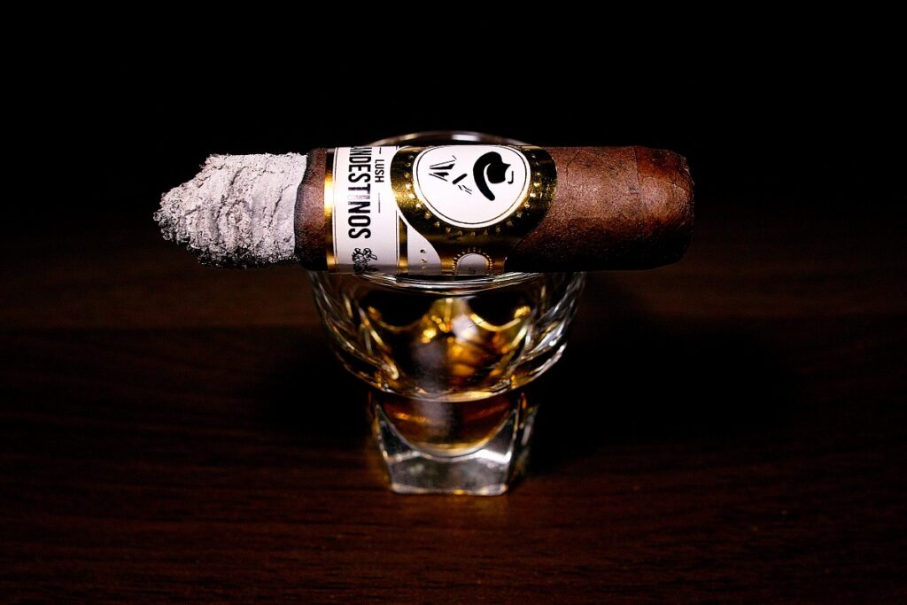 クランデスティノス ラッシュ ベグエロ/Clandestinos Lush Veguero Cigar Review｜葉巻/シガー初心者の喫煙レビューブログ｜喫煙中盤の終わり頃セカンドサード