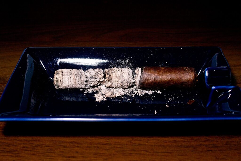ロッキーパテル サングロウン マデューロ ロブスト/Rocky Patel Sun Grown Maduro Robusto Cigar Review|葉巻/シガー初心者の喫煙レビューブログ|喫煙終了後ファイナルアッシュ