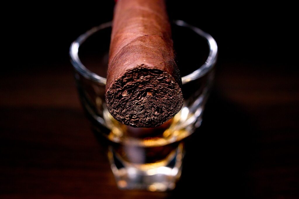 カマチョ コロホ ロブスト/Camacho Corojo Robusto Cigar Review｜葉巻/シガー初心者の喫煙レビューブログ｜ギャラリー6
