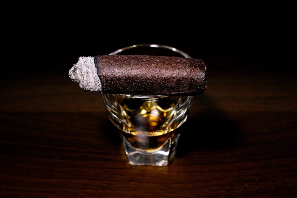 オリバ セリー V メラニオ マデューロ ロブスト/Oliva Serie V Melanio Maduro Robusto Cigar Review｜葉巻/シガー初心者の喫煙レビューブログ｜喫煙終盤ファイナルサード