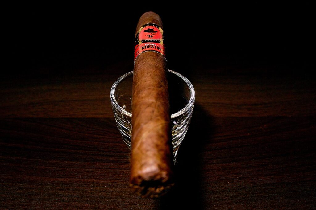 クランデスティノス ナチュラル ドンアレハンドロ/Clandestinos Natural Don Alejandro Cigar Review｜葉巻/シガー初心者の喫煙レビューブログ｜ギャラリー5a