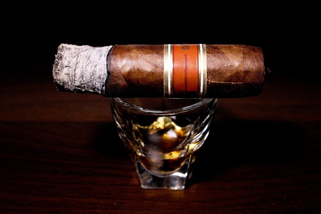 ナブ サングロウン 460/Oliva Nub Habano Sun Grown 460 Cigar Review|葉巻/シガー初心者の喫煙レビューブログ|喫煙序盤の終わり頃ファーストサード