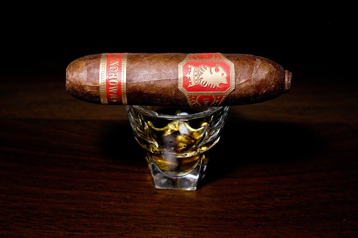 ドリュー・エステート アンダークラウン サングロウン フライングピッグ/Drew Estate Undercrown Sun Grown Flying Pig Cigar Review｜葉巻/シガー初心者の喫煙レビューブログ｜ギャラリー1