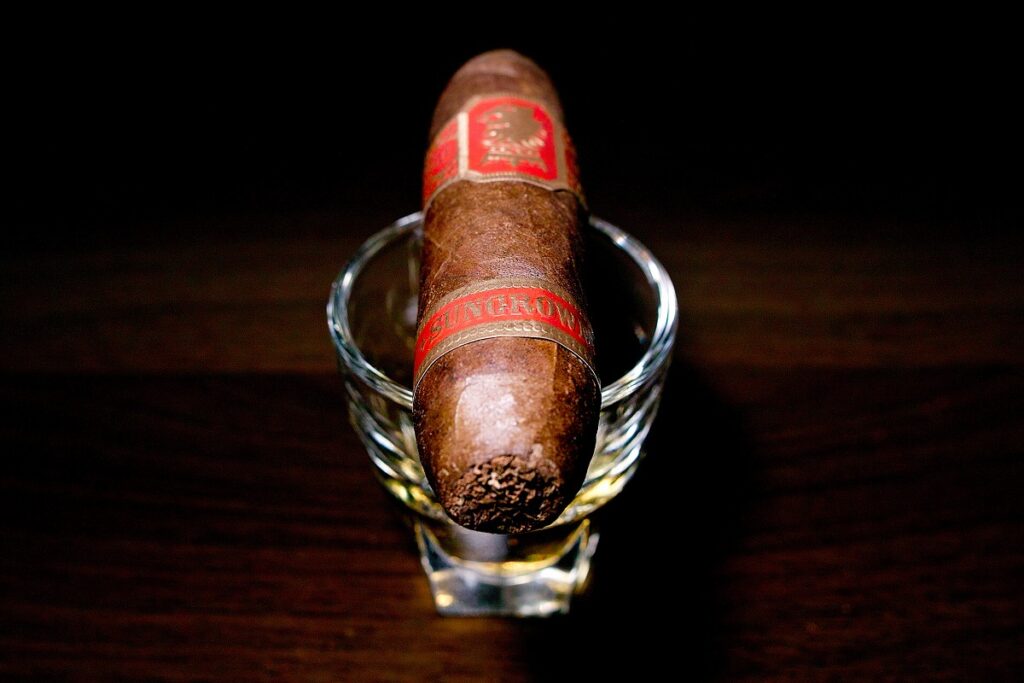 ドリュー・エステート アンダークラウン サングロウン フライングピッグ/Drew Estate Undercrown Sun Grown Flying Pig Cigar Review｜葉巻/シガー初心者の喫煙レビューブログ｜ギャラリー4