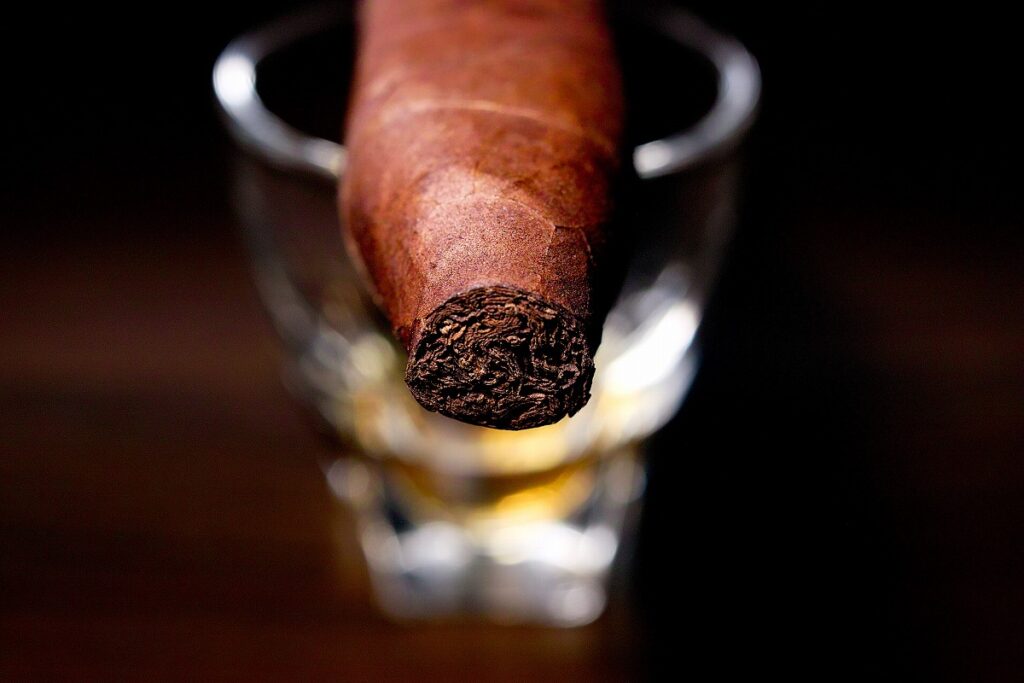 オリバ セリー V メラニオ フィグラド/Oliva Serie V Melanio Figurado Cigar Review｜葉巻/シガー初心者の喫煙レビューブログ｜ギャラリー6